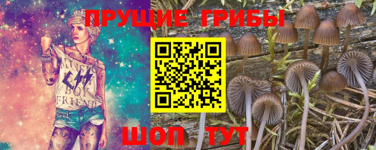 Галлюциногенные грибы GOLDEN TEACHER Карабулак