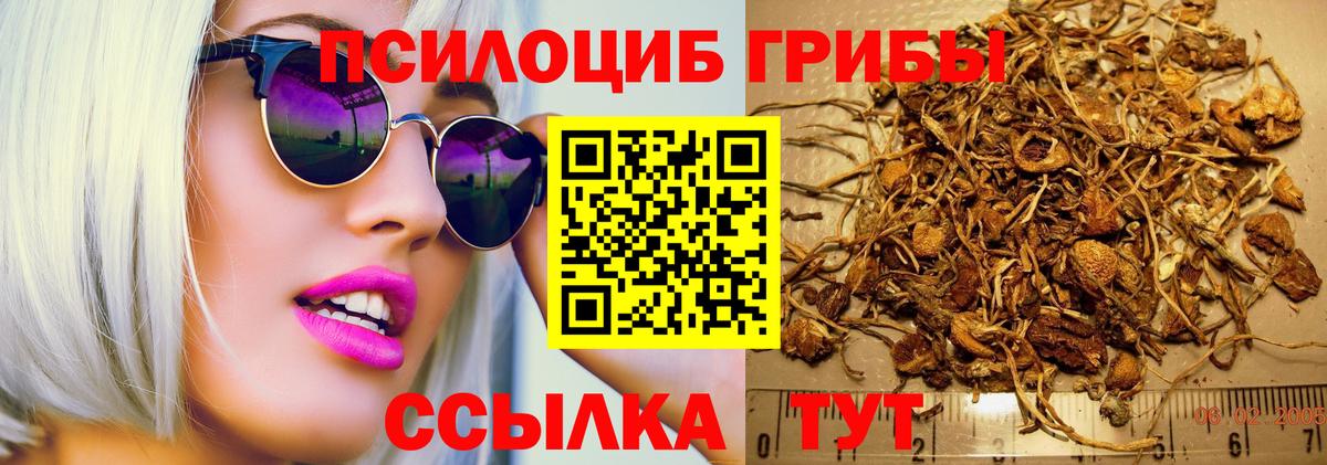 Галлюциногенные грибы Psilocybe  Вход с VPN  Карабулак 
